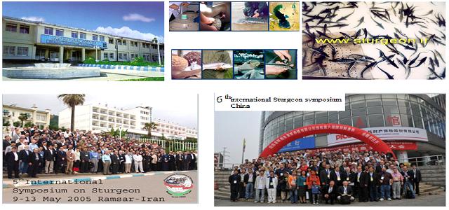 AWT IMAGE